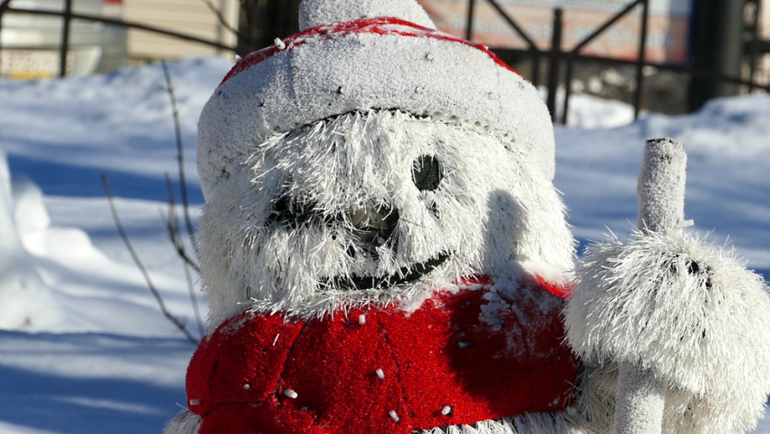 Изуродованный вандалами снеговик стоил 90 000 рублей