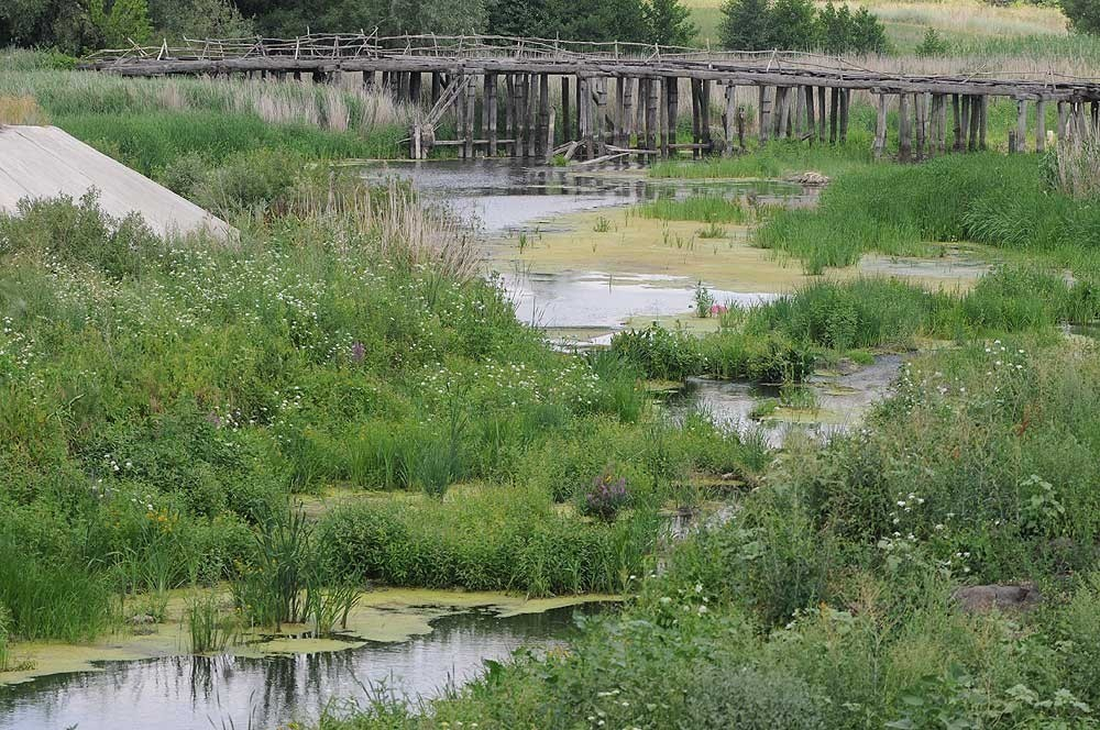 Пересохшую речку в селе Чигорак Борисоглебского района будут спасать за средства федерального бюджета