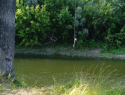 Подросток погиб, прыгнув в реку с тарзанки в селе под Борисоглебском