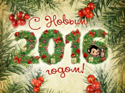 Глава Борисоглебского городского округа поздравил всех с наступающим Новым годом