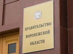 Главам районных администраций в Воронежской области «рекомендовали» готовить запасы для гражданской обороны