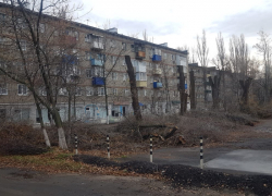 "Пустотелые и аварийные": администрация Борисоглебска пояснила причина варварской обрезки деревьев 