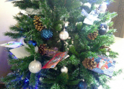 Время чудес. Борисоглебцев приглашают принять участие в новогодней акции «Исполни желание»