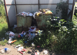 Грибановцы пожаловались на горы мусора, который не убирают два месяца