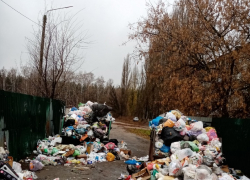 Жителям многоквартирных домов Борисоглебска пояснили: кто должен убирать в их дворах мусор 