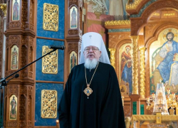   «И Бог любви  и мира будет с нами»: Рождественское послание митрополита Воронежского Сергия 