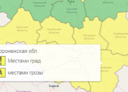 Из-за грозы и града в Воронежской области объявили желтый уровень опасности