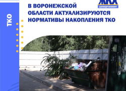 Платить за вывоз мусор жителям Воронежской области, видимо, придется больше