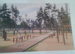 В поселке Елань-Колено планируют благоустроить парк