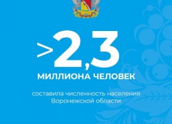 Численность жителей Воронежской области – более 2,3 млн: если верить Всероссийской переписи