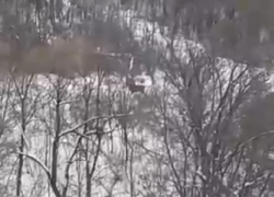 Скачущего по холмам оленя на окраине Новохоперска сняли на видео