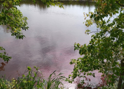 Сбросов не обнаружили: специалисты проверили «красный пруд» в Терновке 