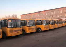 Новые, блестящие: школьный автопарк обновили в Воронежской области 