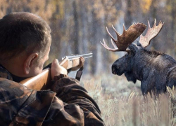   «Через несколько лет нам не на кого будет охотиться!»: охотники Воронежской области – о борьбе с браконьерами